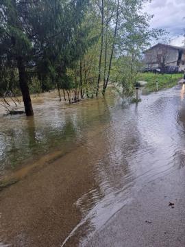 Cesta Zarečica-Koseze